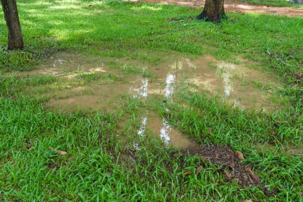Cost of Storm Water Drainage Service in Knoxville