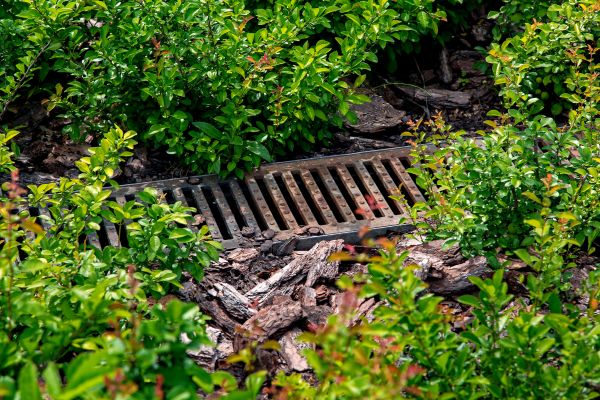 Cost of Underground Drainage Service in Knoxville