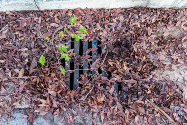 Cost of Yard Drain Unclogging in Knoxville