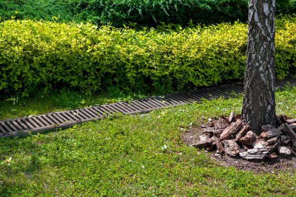 Cost of Residential Landscape Drainage in Knoxville