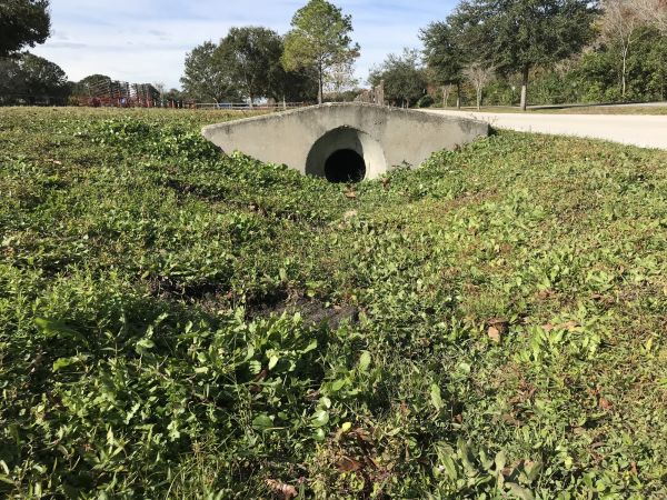 Cost of Swale Drainage Service in Knoxville